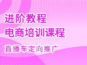 直通车定向推广